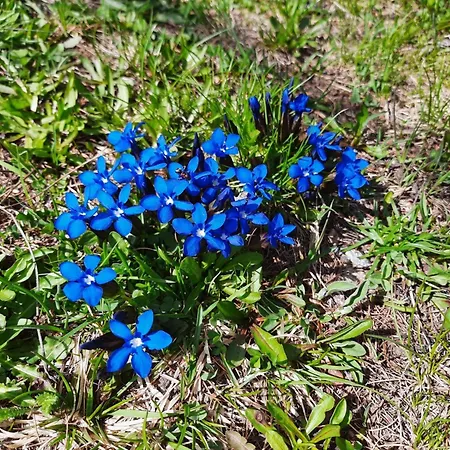 Appartamento La - Bionaz